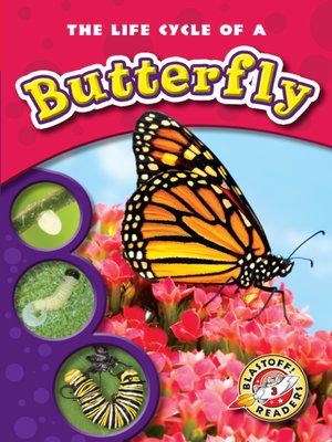 cover image of The Life Cycle of a Butterfly